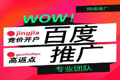 谷歌竞价广告在电商行业的运用案例